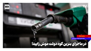 در ماجرای بنزین کوه دولت موش زایید!