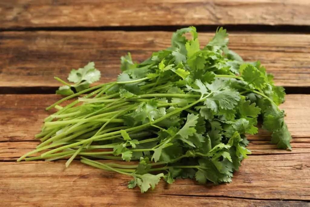 سبزی پرمصرفی که به جنگ سرماخوردگی و آنفلوآنزا میرود