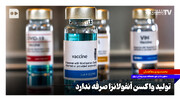 تولید واکسن آنفلوانزا صرفه ندارد