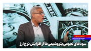 سودهای نجومی پتروشیمی‌ها از افزایش نرخ ارز