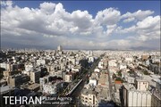 چه خبر از مناطق؟ از نصب تابلوهای پناهگاه امن تا اجرای رویداد «خانه شهر» در بوستان های بانوان