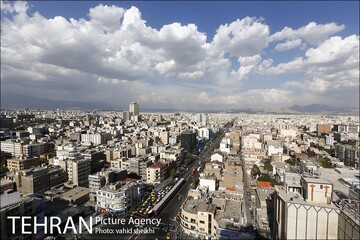 چه خبر از مناطق؟ از نصب تابلوهای پناهگاه امن تا اجرای رویداد «خانه شهر» در بوستان های بانوان