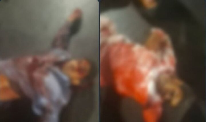 هلاکت ۳ تروریست مسلح گروهک جیش ظلم