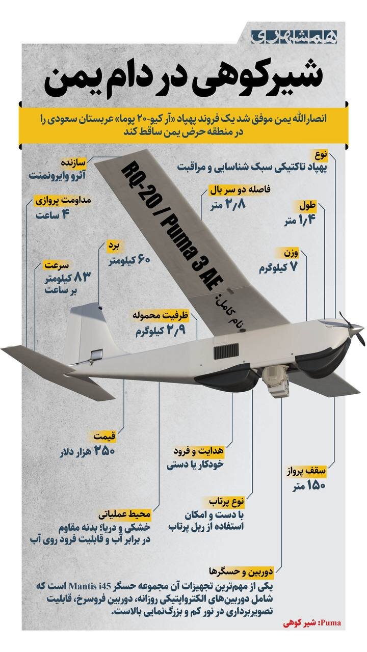 شیرکوهی در دام یمن