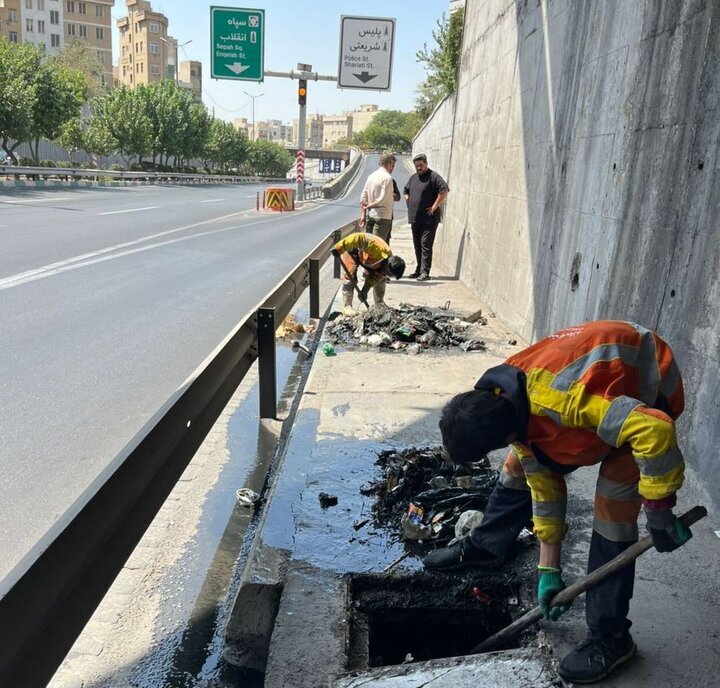 چه خبر از مناطق؟ اجرای طرح مهر قلم در مجتمع توانخواهان تا احیای ۵ برکه آب در بوستان «آبشار تهران»
