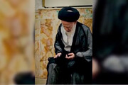 تصاویری از تشرف مرحوم آیت الله شبیری زنجانی به حرم حضرت معصومه(س) | ویدئو