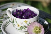 به جای ژلوفن این دمنوش را بخورید | ویدئو