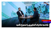 یک‌شبه صادرات کشاورزی را ممنوع نکنید