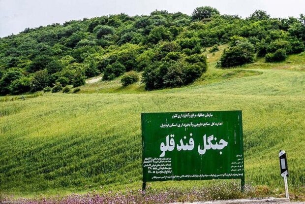 فندقلو