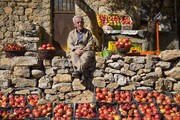 مهمانی انارهای هورامان | اینجا پاتوق شیفتگان انار است | داستان زخم سر انگشتان دست زنان سلین تا ژیوار