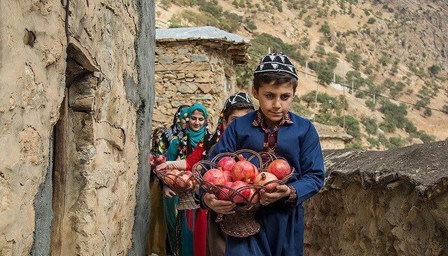 مهمانی انارهای هورامان | اینجا پاتوق شیفتگان انار است | داستان زخم سر انگشتان دست زنان سلین تا ژیوار