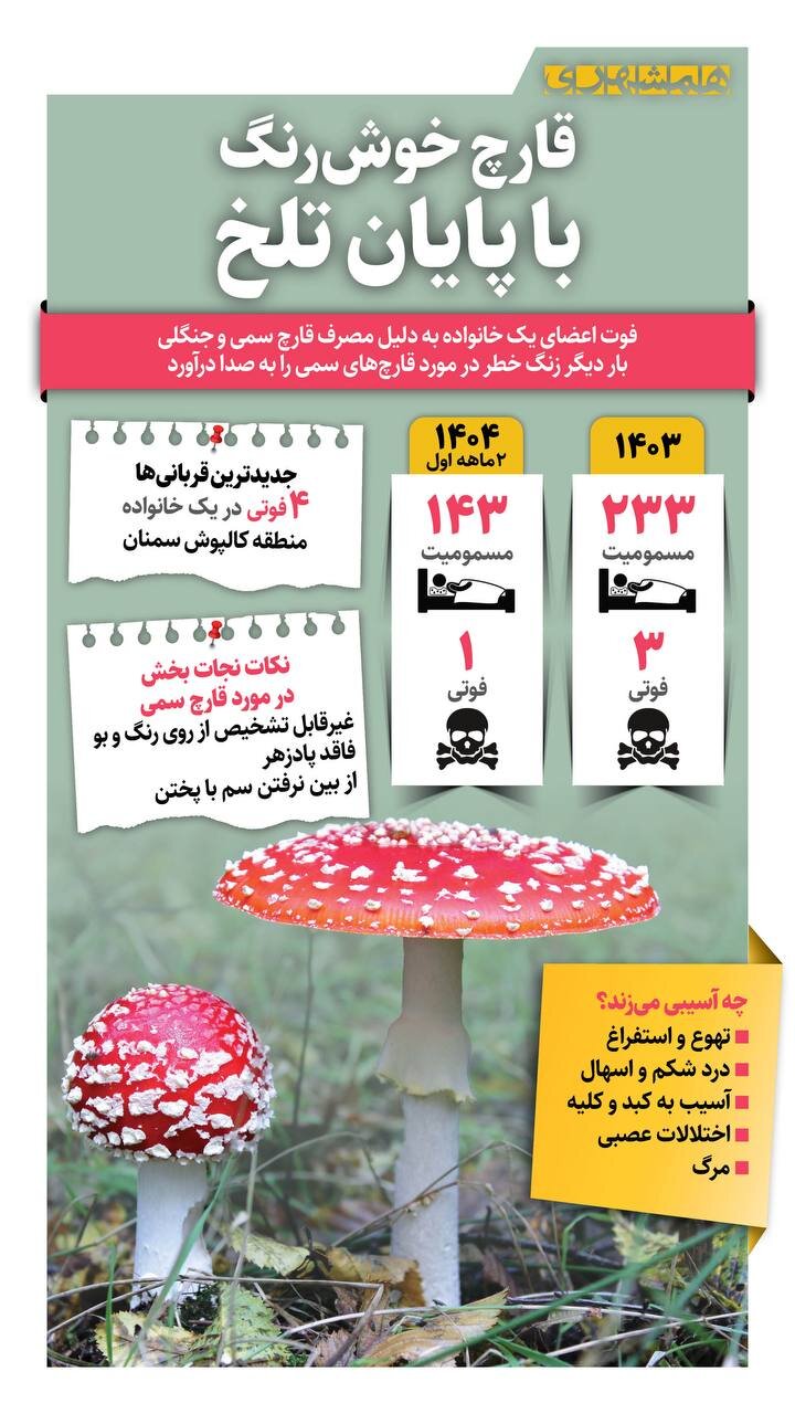 قارچ خوش رنگ با پایان تلخ | ۴ نفر در سمنان جان باختند!