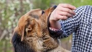 گاز گرفتگی ۴ برابر شد!