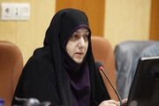 حمایت شورای شهر از طرح مادرانه