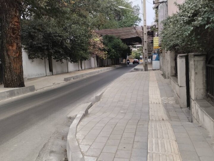 چه خبر از مناطق؟ از رویداد «سه نسلی» در باغ گلاریس تا ایمن سازی معابر جنوب شهر