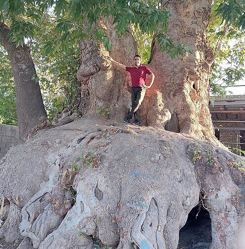گردشگری
