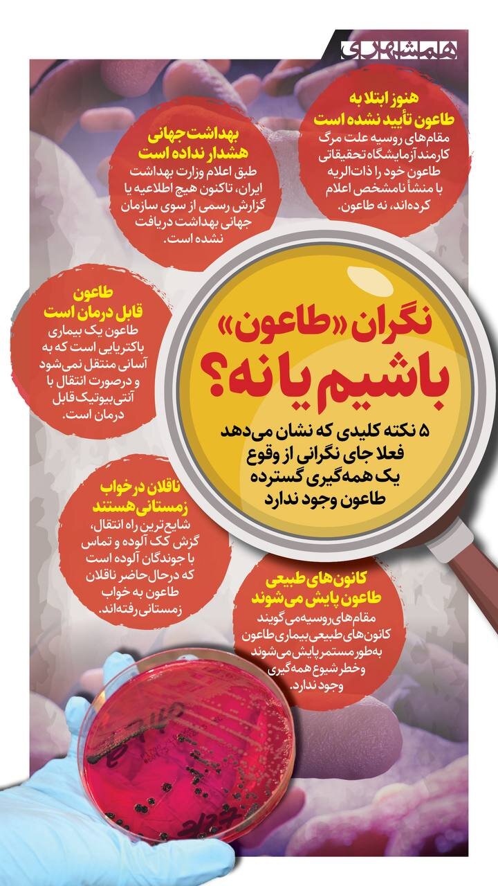 ابتلا به طاعون تایید شد؟؛ نگران باشیم یا نه؟