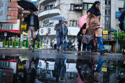 هشدار زرد هواشناسی برای ۱۷ استان | بارش باران و رعدوبرق تا پنجشنبه ادامه دارد