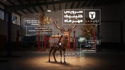 کلینیک پاییزه لاماری ادامه دارد؛ خدمات ویژه تا ۳۰ مهر با امکان نوبت‌دهی آنلاین