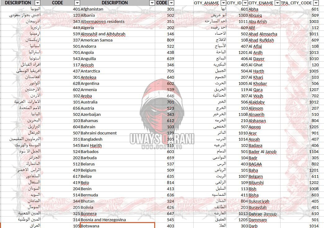 حمله سایبری به ارتش سعودی + تصاویر؛ ۲۰۰ هزار سند محرمانه فاش شد | گروه اویس قرنی گزارش داد