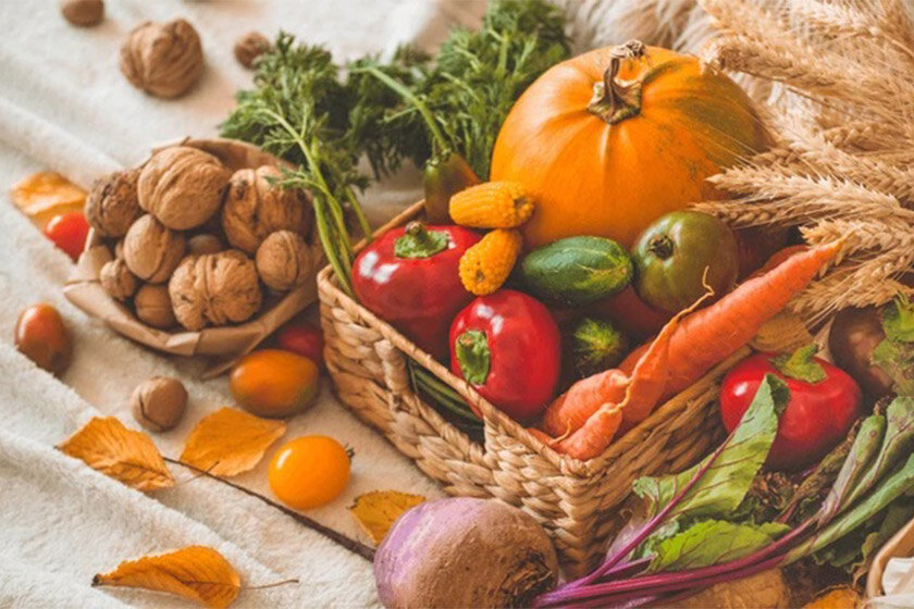 تغذیه پاییزی