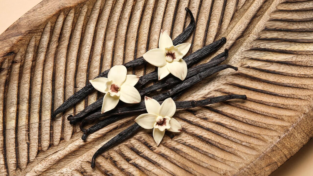 از عطر شیرینی تا امید تازه برای ترمیم زخم‌های مزمن