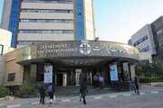 زنان در میدان محیط زیست | موانع زنان حفاظتگر طبیعت چیست؟