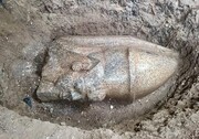 مجسمه غول‌پیکر فرعون از زیر خاک بیرون آمد + تصاویر | سر مجسمه‌ ۱.۶ متر ارتفاع  دارد