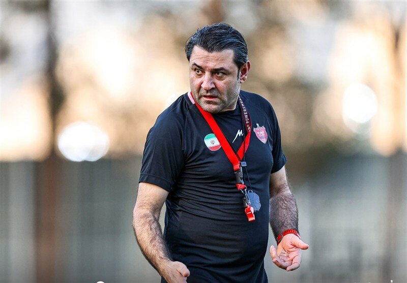 وحید فاضلی