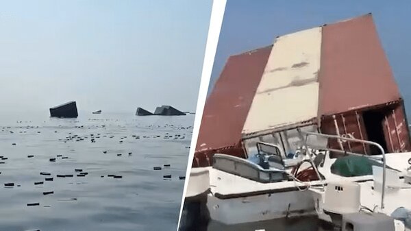 بازار داغ آیفون ۱۸ صید روز! |‌ببینید