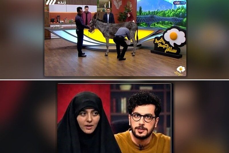 قیاسی