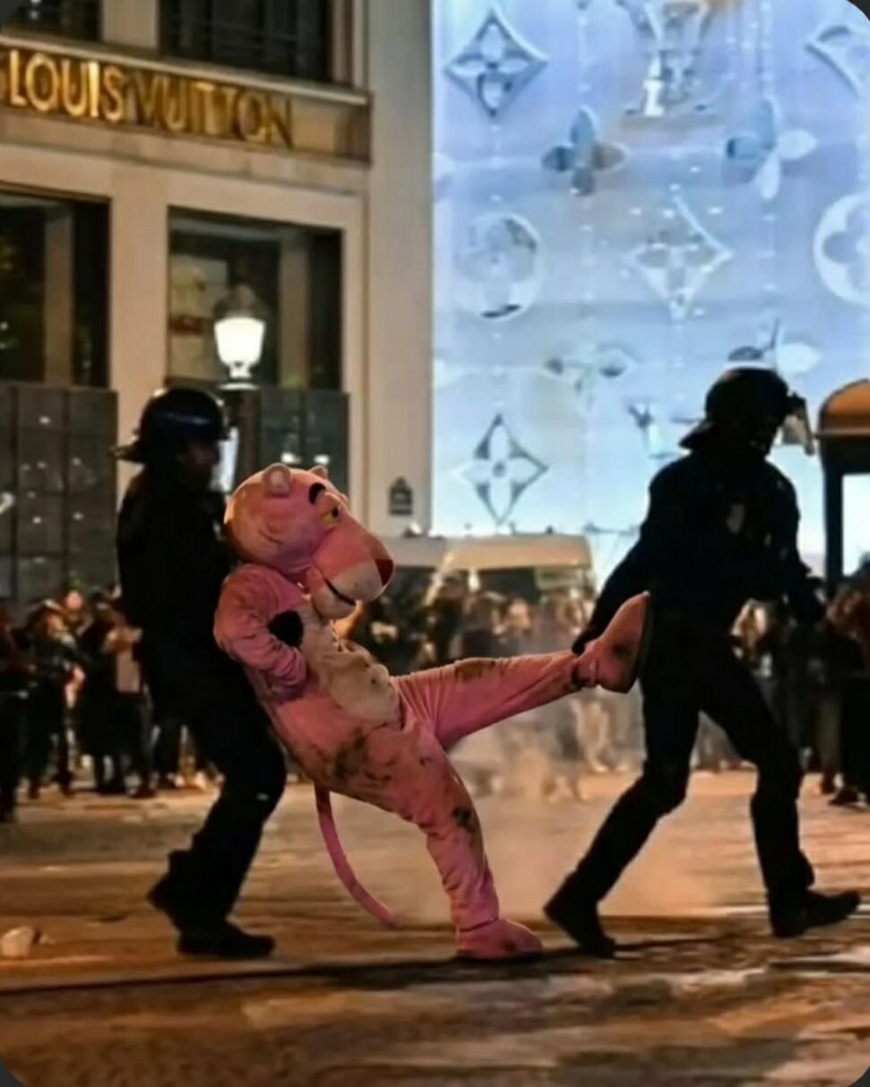 پلنگ صورتی هم در جریان ناآرامی‌های فرانسه بازداشت شد!+ عکس