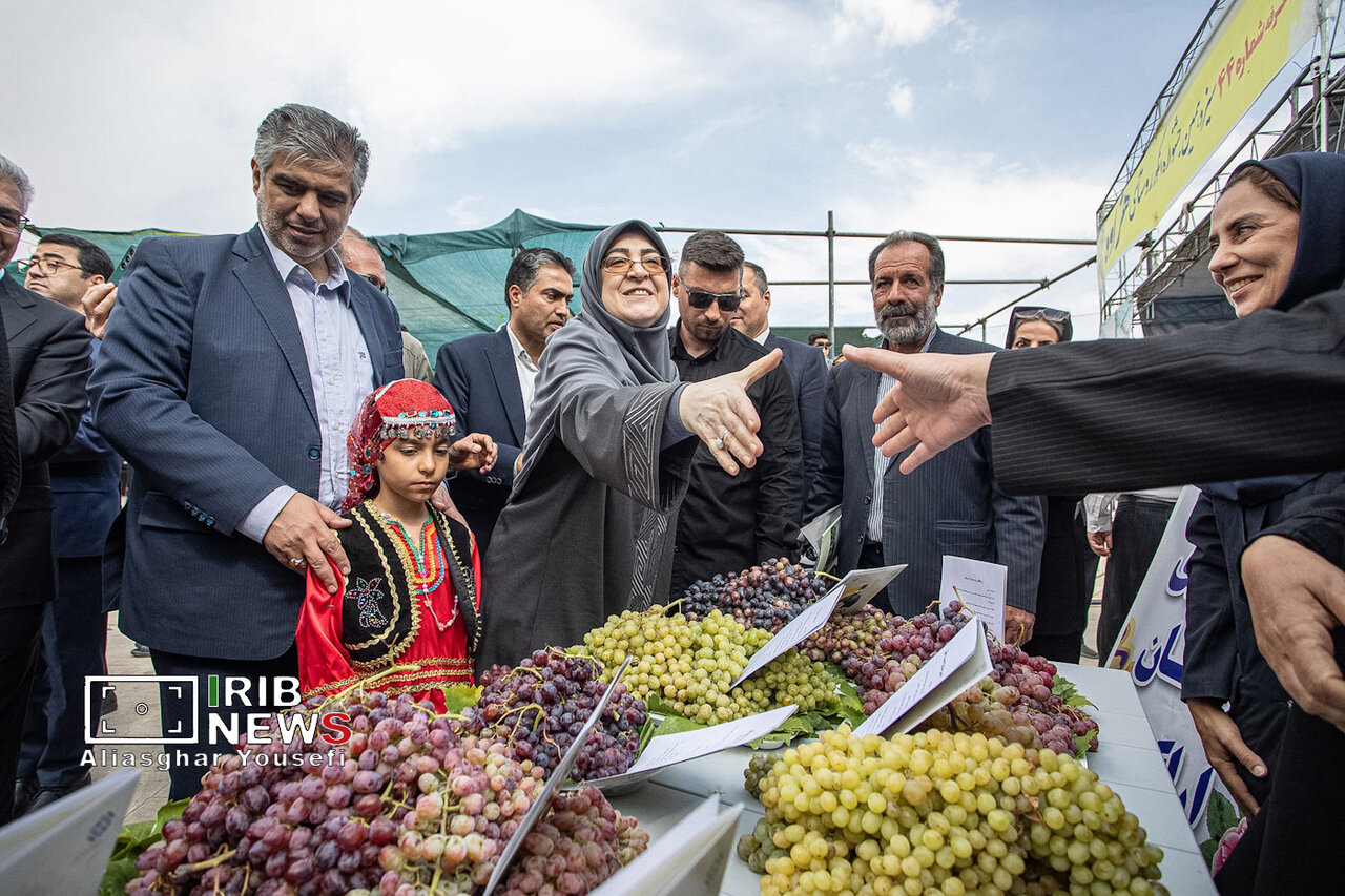 سخنگوی دولت در جشنِ شیرینِ روستای هزاوه | تصاویر