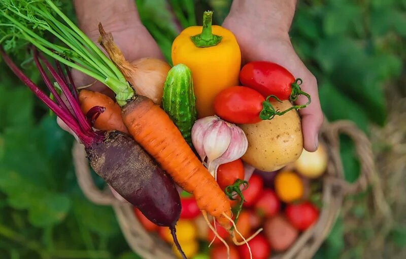 خوراکی برای پوست
