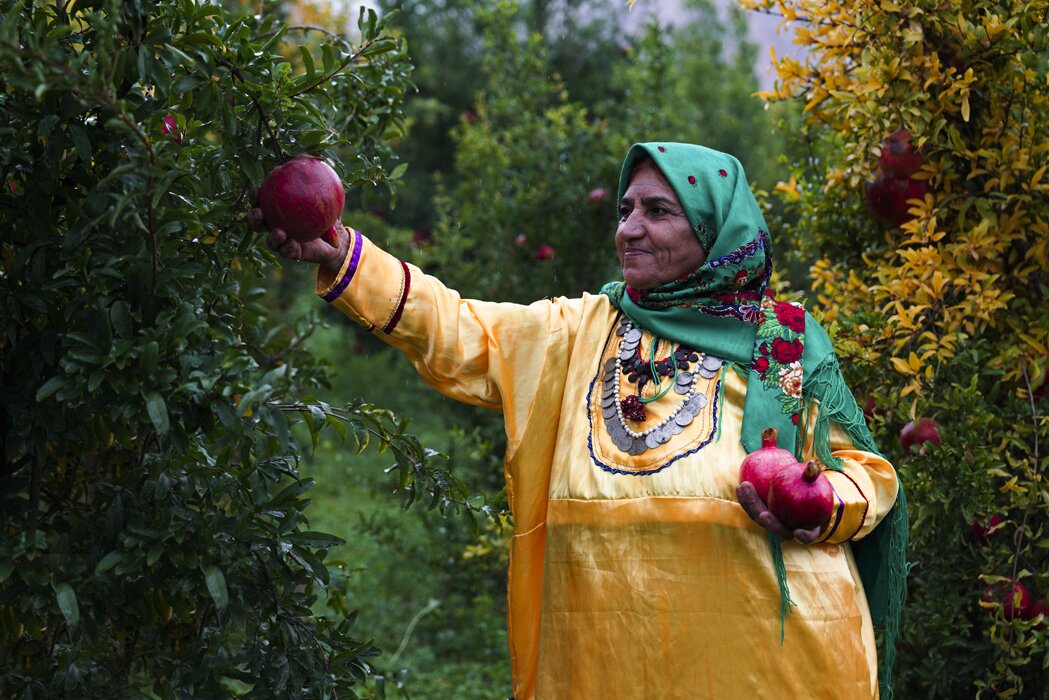 سرخ مثل انار | تصاویری دیدنی از برگزاری سومین جشنواره انار در خلخال