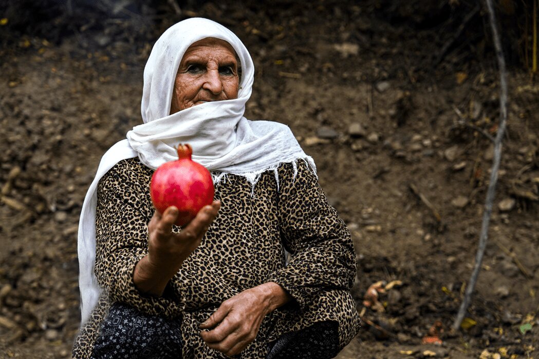 سرخ مثل انار | تصاویری دیدنی از برگزاری سومین جشنواره انار در خلخال