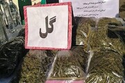 گل تلگرامی به مقصد نرسید