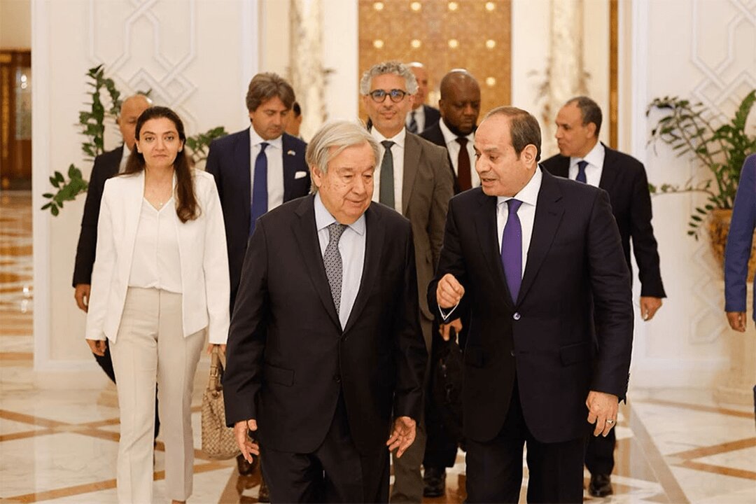 گوترش در مصر