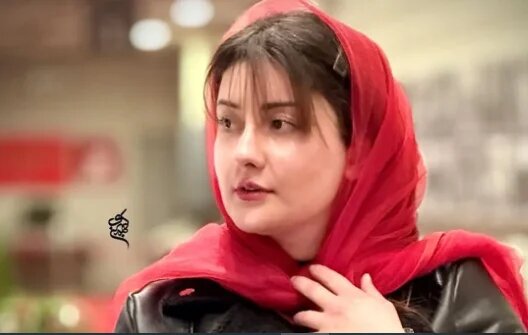 ناگفته‌های خانم بازیگر درباره سریال کارآگاه علوی