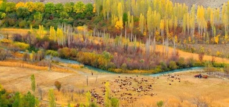 پاییز را کجا تماشا کنیم؟ ۶ مقصد جذاب پاییزی نزدیک تهران