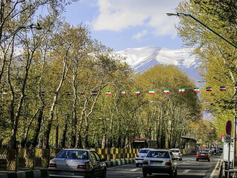 صدور شناسنامه برای چنارهای ۱۰۰ ساله ولیعصر + اینفوگرافیک